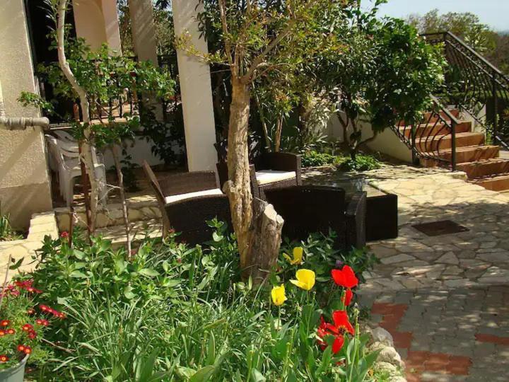 Apartments Davorka Шимуни Экстерьер фото